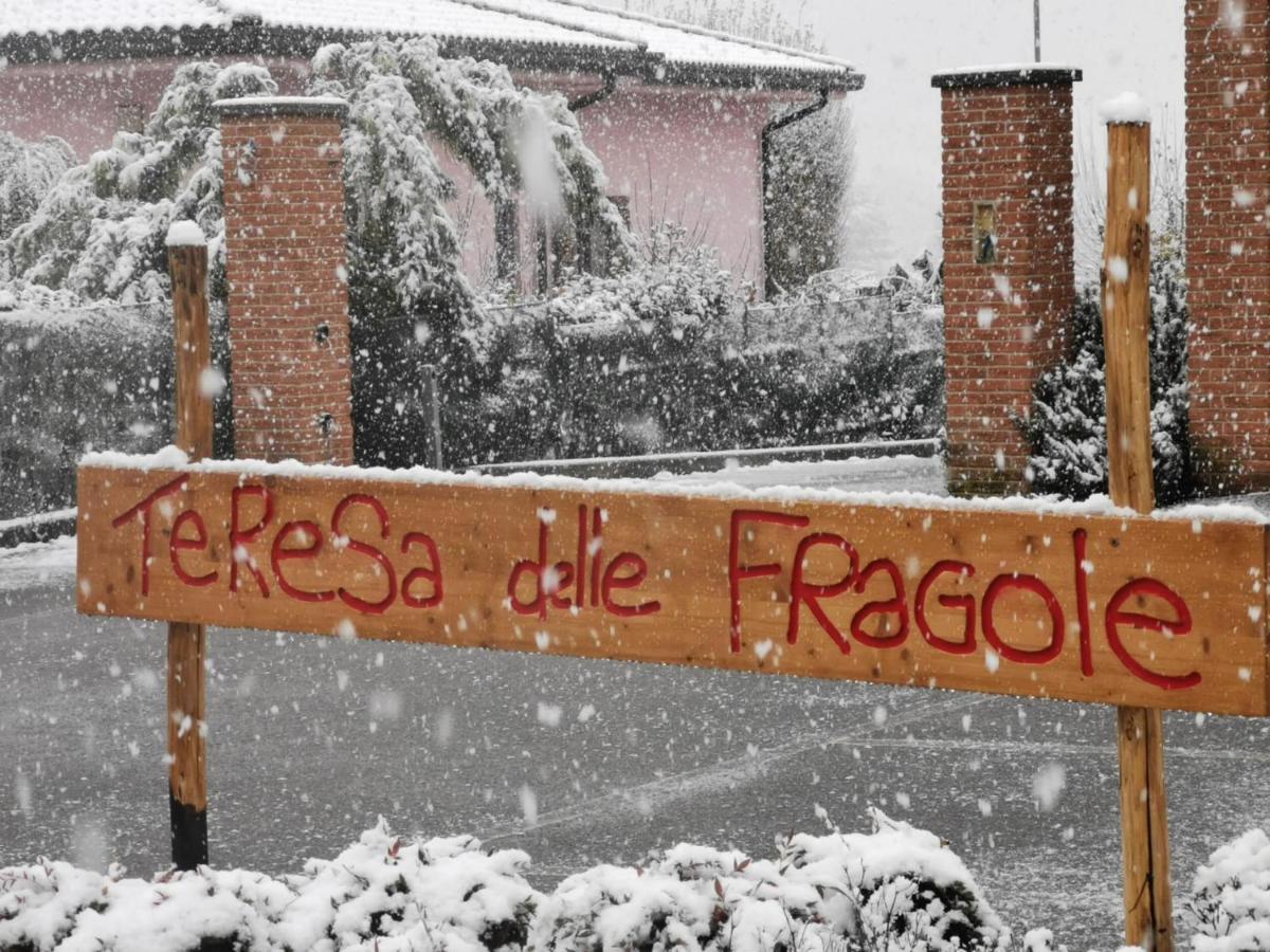 Agriturismo Teresa Delle Fragole Vigano Exteriér fotografie